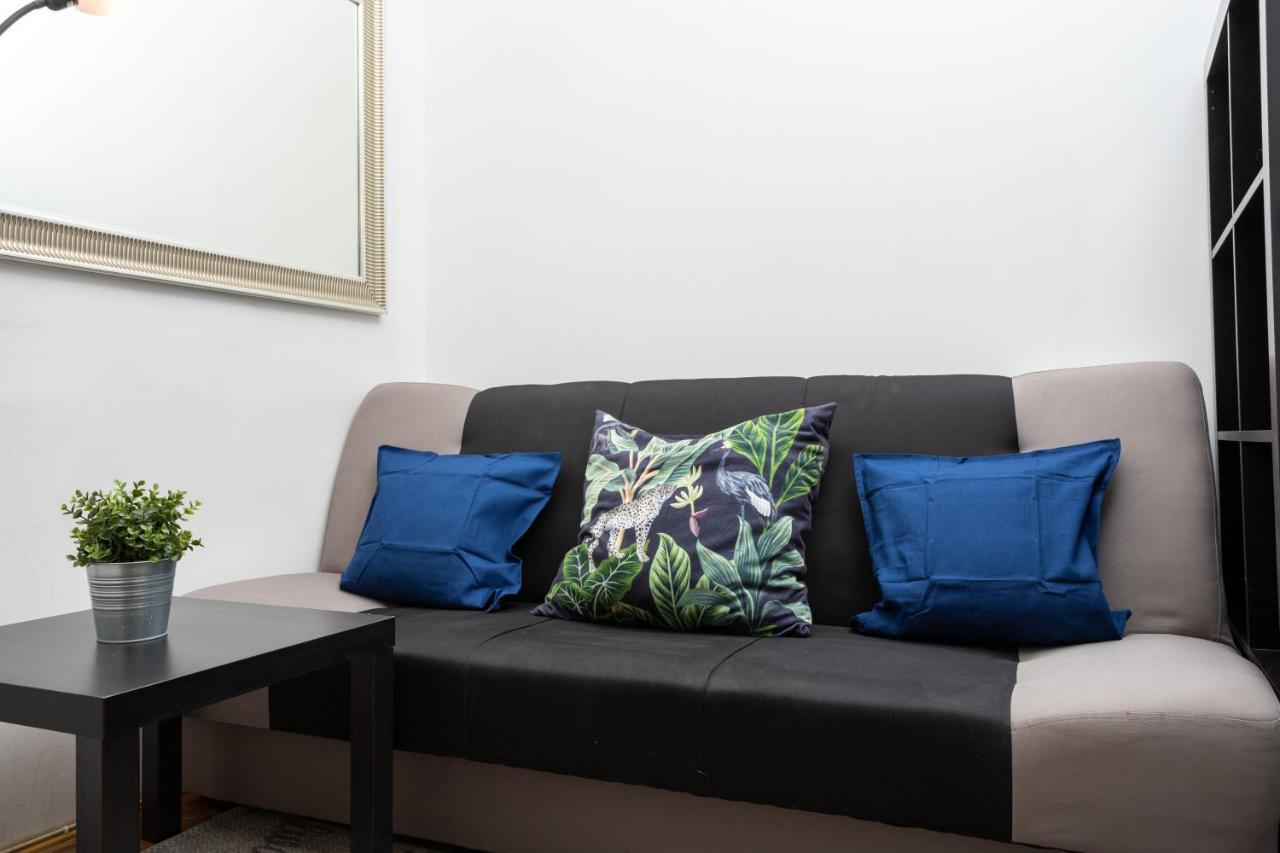 Blueberry Apartment At Buda Castle ブダペスト エクステリア 写真
