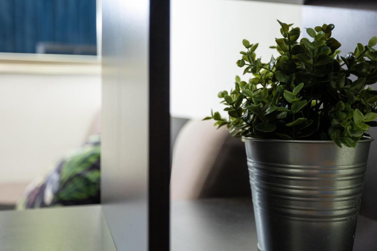 Blueberry Apartment At Buda Castle ブダペスト エクステリア 写真